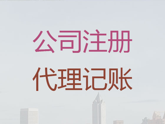 三亚会计服务代理记账|子公司代理记账/做账